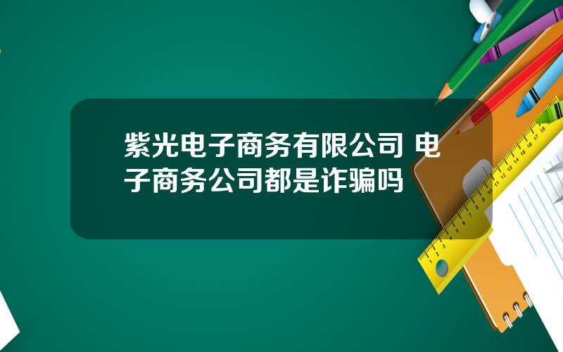 紫光电子商务有限公司 电子商务公司都是诈骗吗